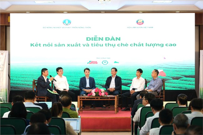 Năm 2025: chuyển đổi 70% diện tích trồng chè sang trồng các giống chè mới, chất lượng cao